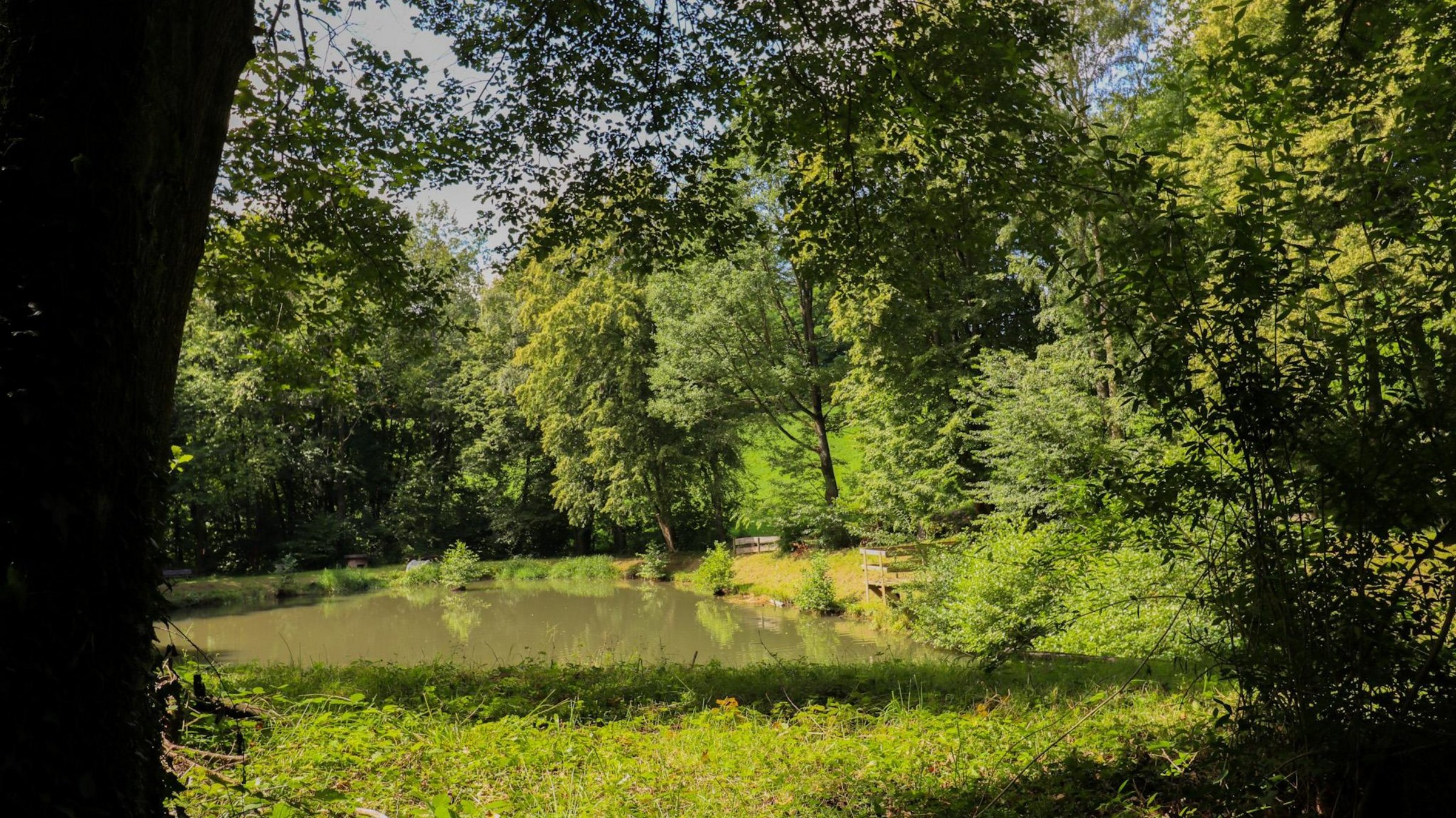 Überblick über den See richtung steg schauend